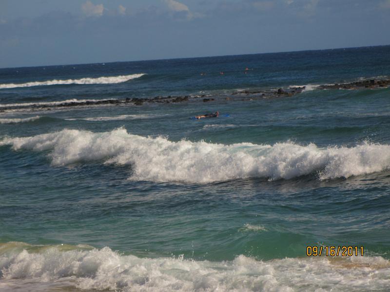 Picture 065